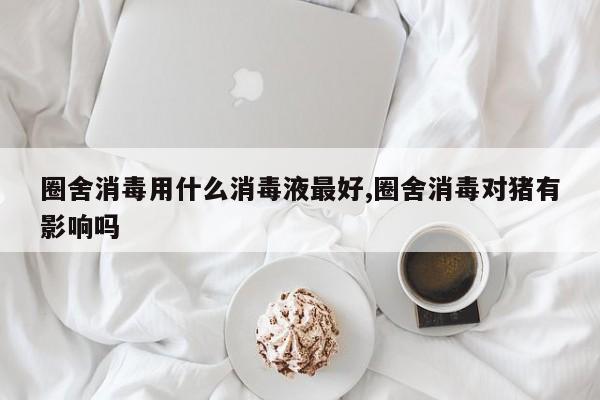 圈舍消毒用什么消毒液最好,圈舍消毒对猪有影响吗
