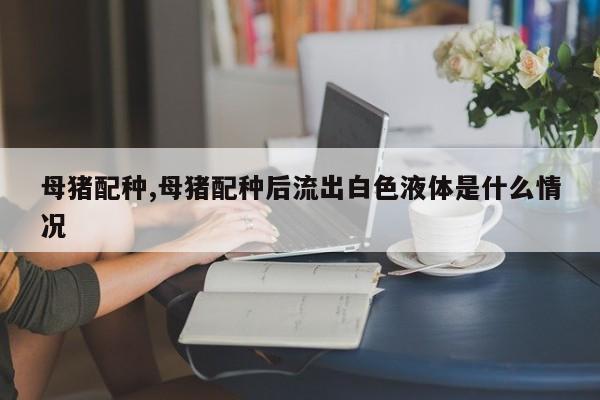 母猪配种,母猪配种后流出白色液体是什么情况